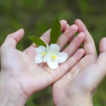 Advocate for Rights & Services